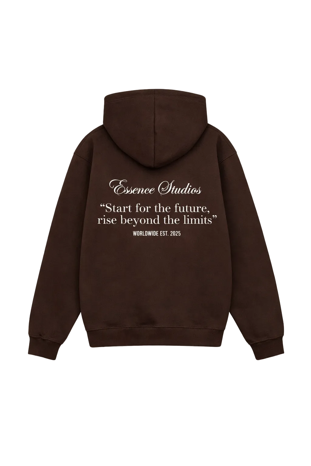 Brown S.T Hoodie